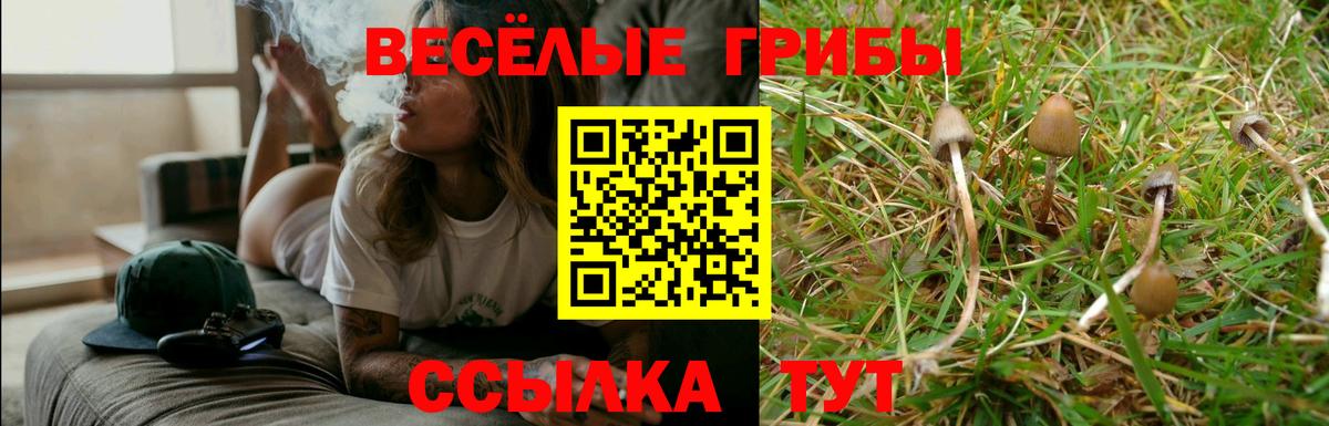 Галлюциногенные грибы ЛСД  Галлюциногенные грибы Psilocybine cubensis  Костомукша  Вход с VPN 