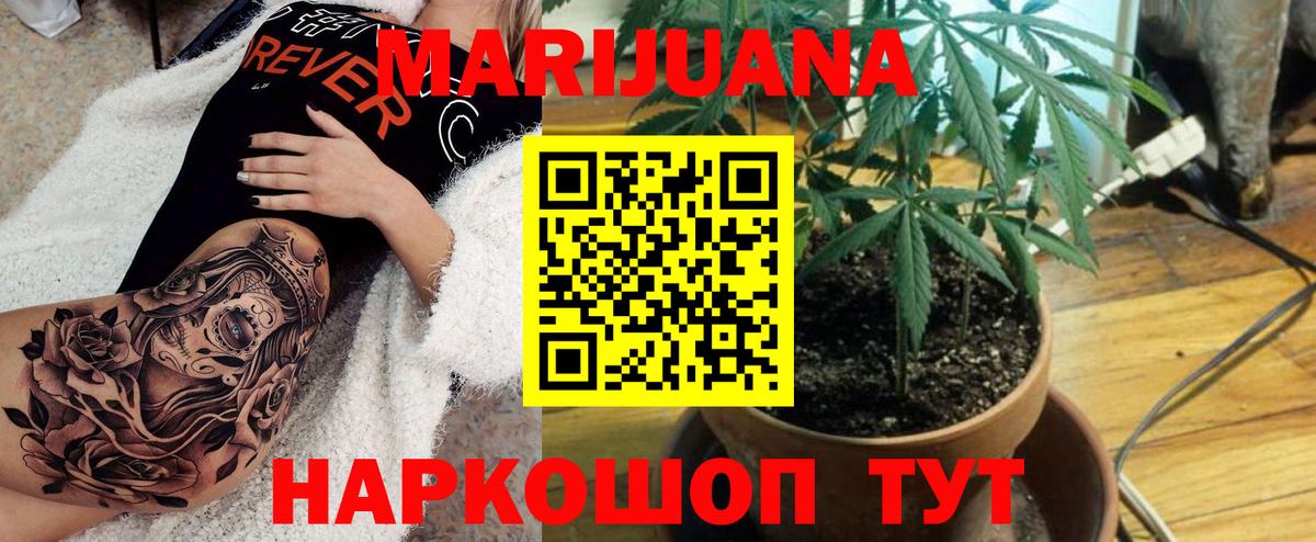 Шишки марихуана OG Kush Костомукша
